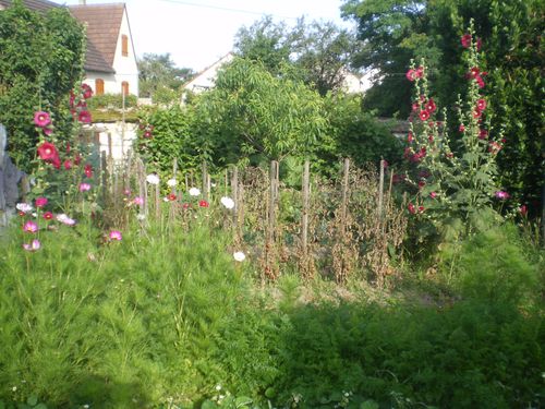 jardin-001.JPG