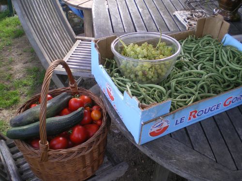 JARDIN-001.JPG