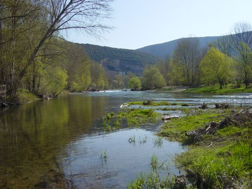 riviere tarn 001
