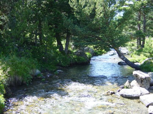 viaurpeche 041