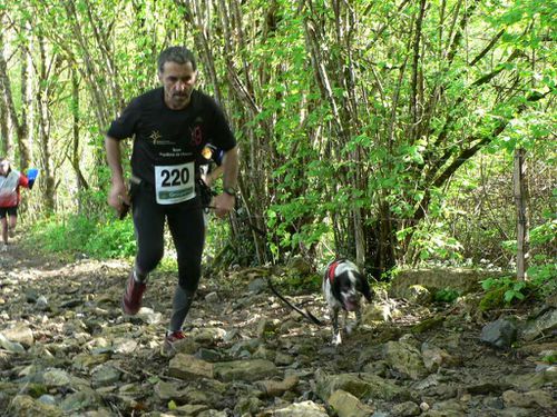 15 14 Cueille Chien