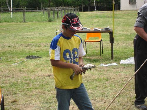 lucenay 2011-16