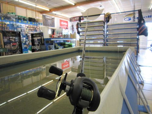 Avenir-peche8.JPG