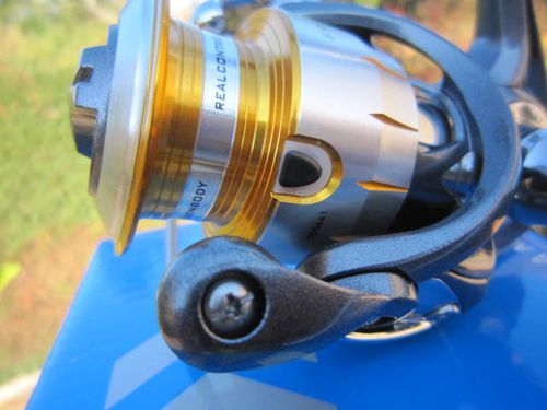 freams Daiwa13
