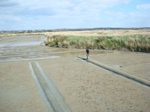 Photos batz-sur-mer2009 080