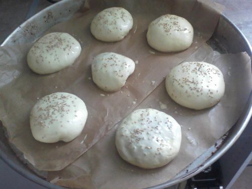 Photo-0213