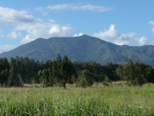 le mont Mou