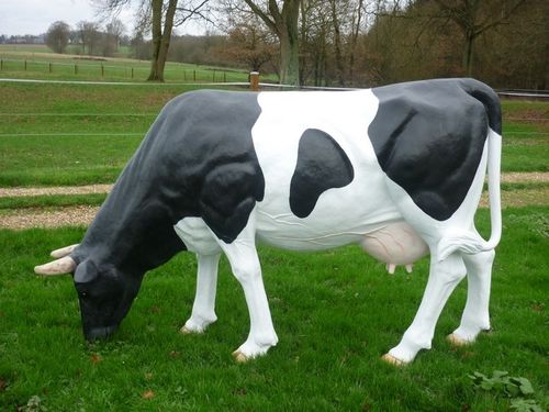 Vache-resine--2-.JPG