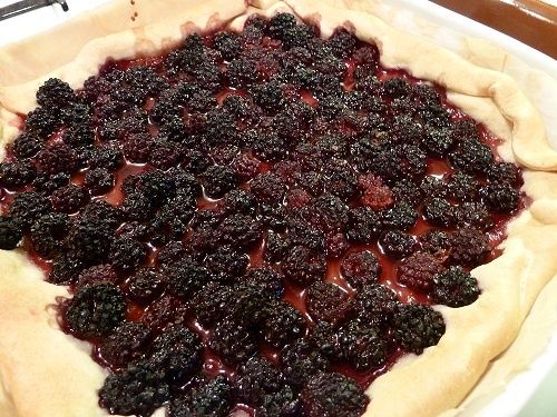 tarte_mures.jpg