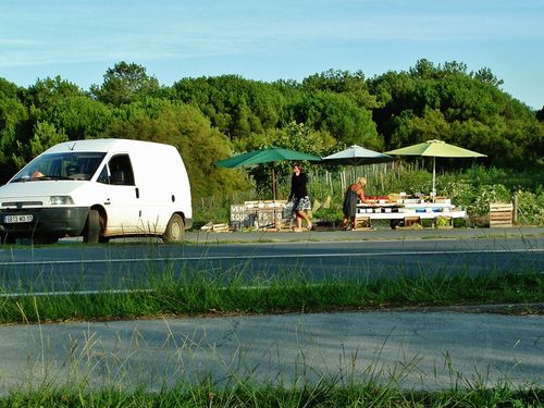 marché aux légumes en rase campagne