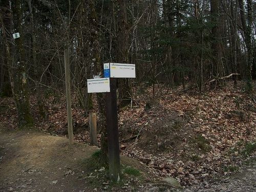 7-Parcours Tour du bois et promenade de chamborêt