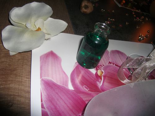 Table nature et orchidée 033