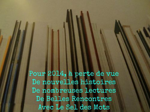 2013-12-25-Voeux-du-sel-des-mots.jpg