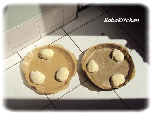 batbouts-pavot-03.JPG