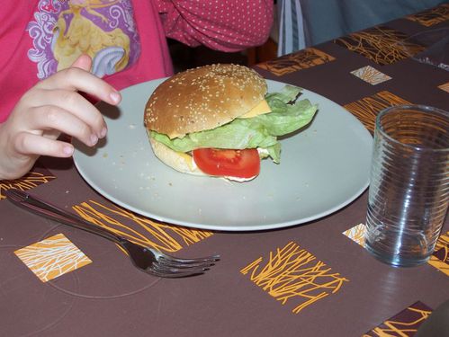burger2011