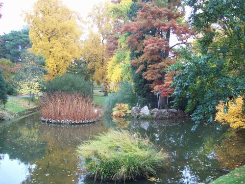 226 Jardin des plantes