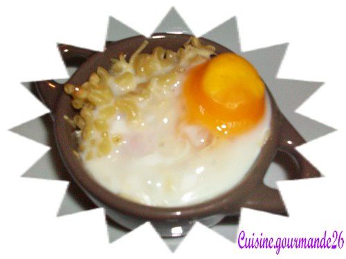 cocotte