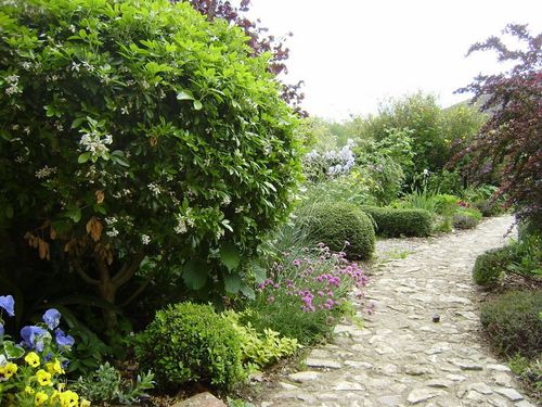 photo-pub-jardin.jpg