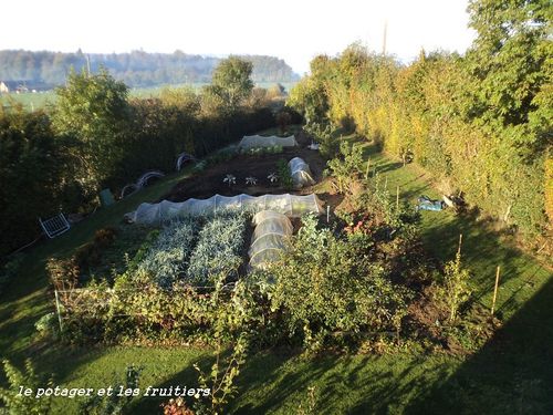 31-10-2012--59-.JPG