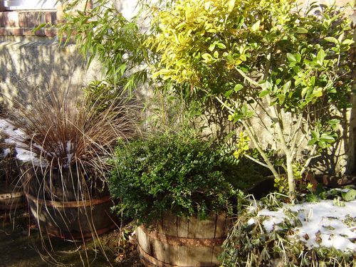 potee-d-hiver.JPG