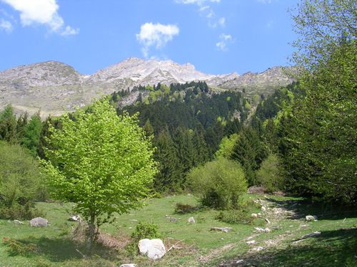 montagnes entre le barrage du Tech et le lac d'Estaing