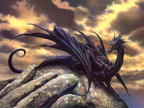 dragon_04.jpg