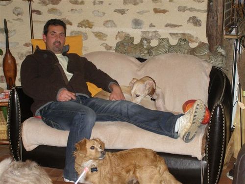 Rencontre whippet