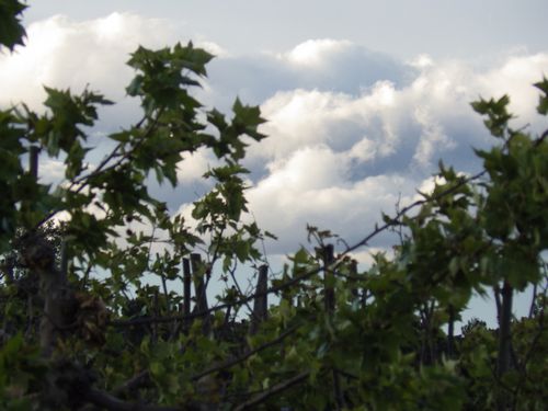 apres-l-orage-29-mai-2013-002.JPG