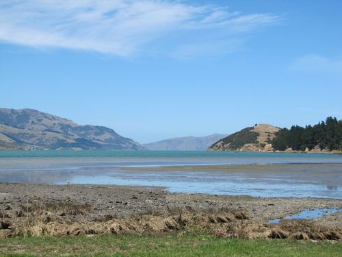 Akaroa Harbour 8