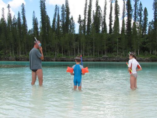 Piscine naturelle 13