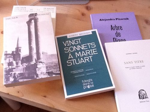 photo-vingt-sonnets.jpg