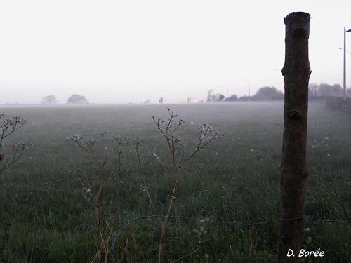 Prairie Avril9