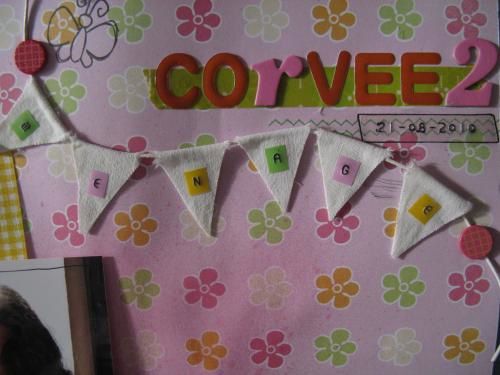 Corvee-de-menage 6093 réduite