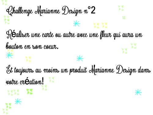 2--challenge-1-fleur-et-un-bouton.jpg