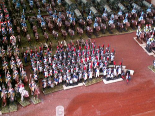 premiere figs (14)