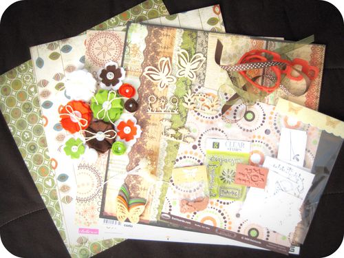 Scrap'Inès Colis NSP Didi Fleurs feutrine maison