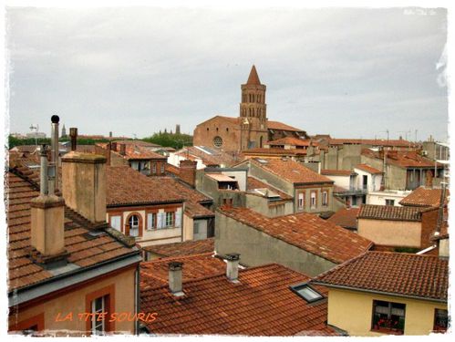 les-toits-de-toulouse.jpg