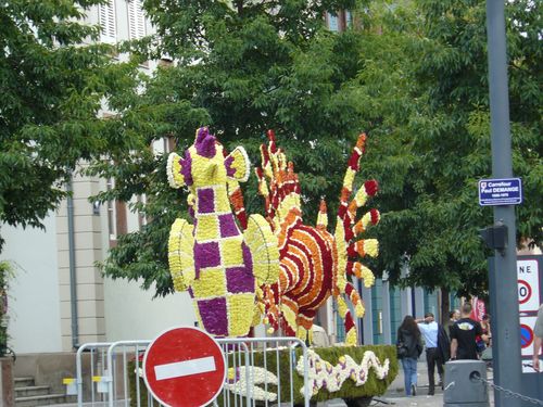 alsace 2010 108