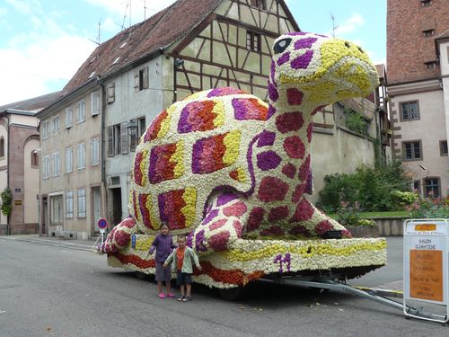 alsace 2010 148
