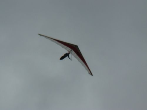 CANN2012 259