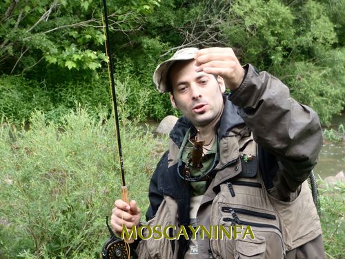 Pacheco-y-cangrejo.jpg