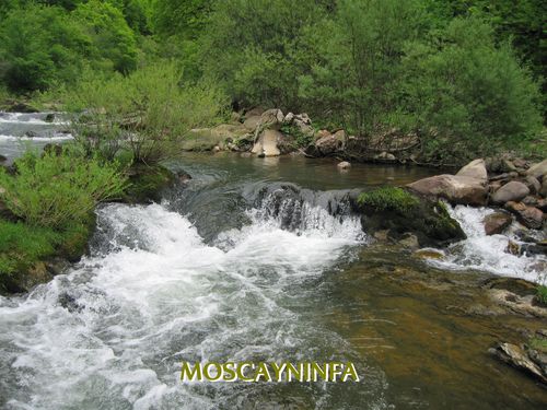 RIO-IRATI.jpg