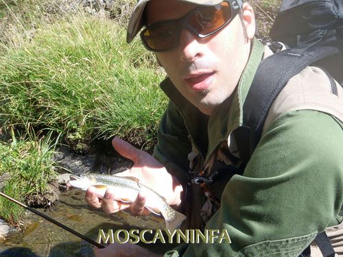 captura pacheco3