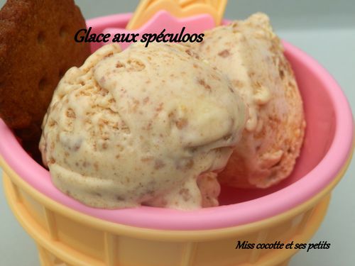 glace-au-speculoos-1.jpg
