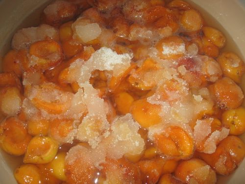 Photo-2326.jpg