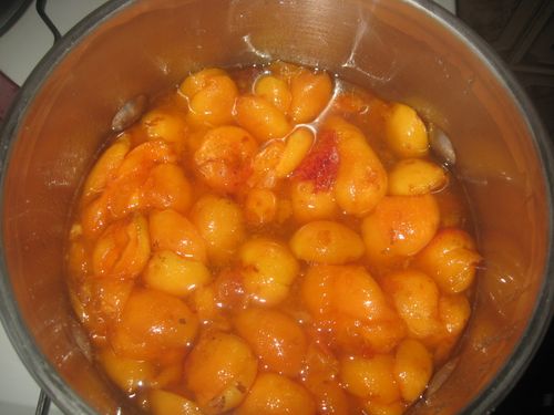 Photo-2330.jpg