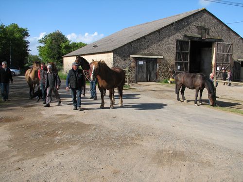 rencontre et randonnee