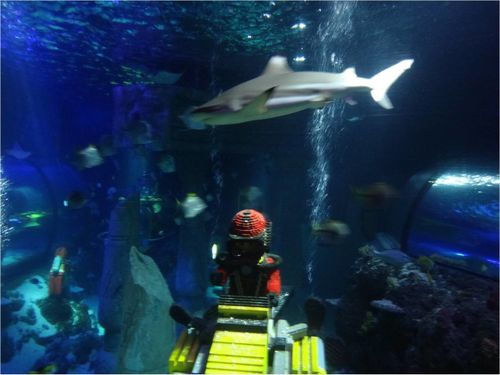 aquarium-legoland-deutschland.jpg