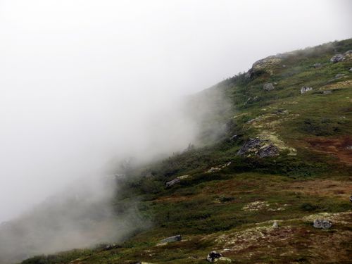 IMG_3815.JPG