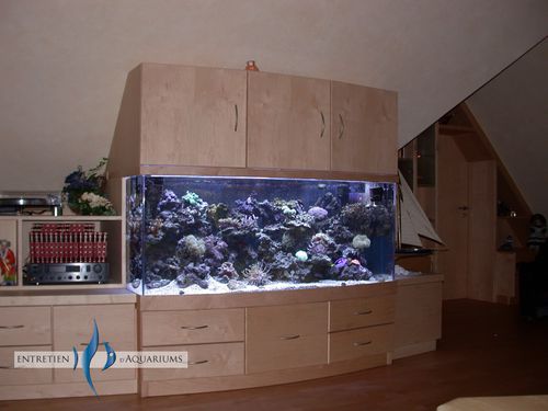 aquarium-marin-balma.jpg